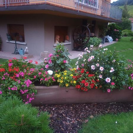 Apartmán La Rocatelle Andlau-au-Val Exteriér fotografie